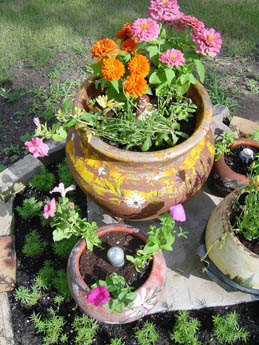 Flowered ceramic pots arranged on a stone garden surface