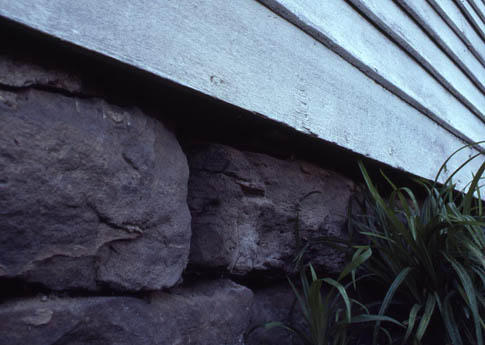 Stone foundation wall topped by white horizontal siding with green plants at the base